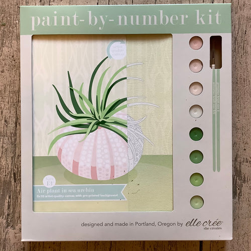 Paint by number sea urchin